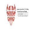 Lamb Carcass Body(11~16kg)