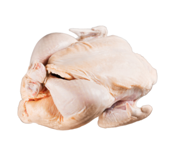 Healthy Turkey Meat