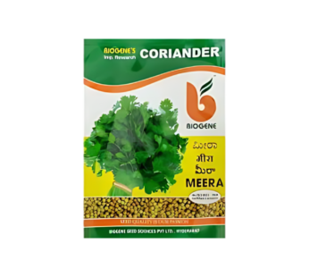 Fresh Coriander Flavor