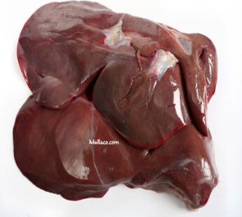 Sheep Liver