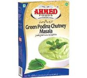 Green Pudina Chutney Masala