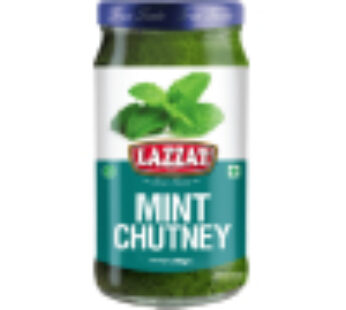 Mint Chutney