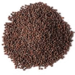 Mustard Seed 100g
