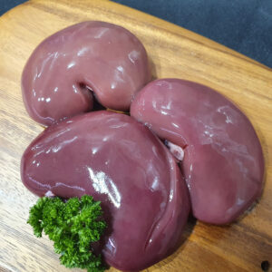 Sheep Kidney