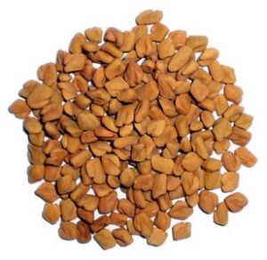 Methi/ Fenugreek Seed