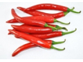 Red Chilli