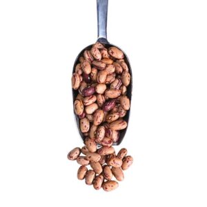 Pinto beans