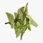 Curry Leaves 20g