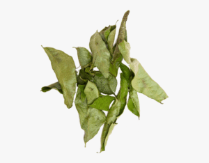 Curry Leaves 20g