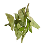 Curry Leaves 20g