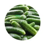 Cucumber-4pcs