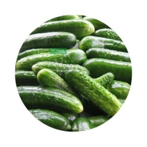 Cucumber-4pcs