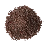Mustard Seed Brown-500g