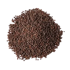 Mustard Seed Brown-500g